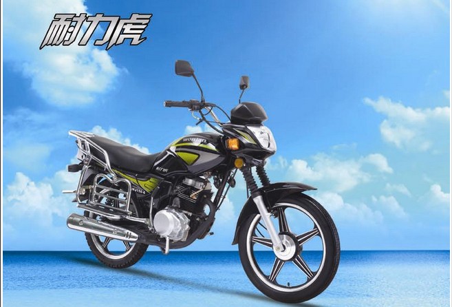 望江两百五摩托车图片